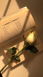 A white rose lying on an open poetry book, casting shadows in warm sunlight.