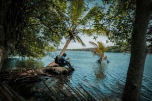 A man photographing nature on a serene lake with lush greenery and palm trees in Kerala, India.